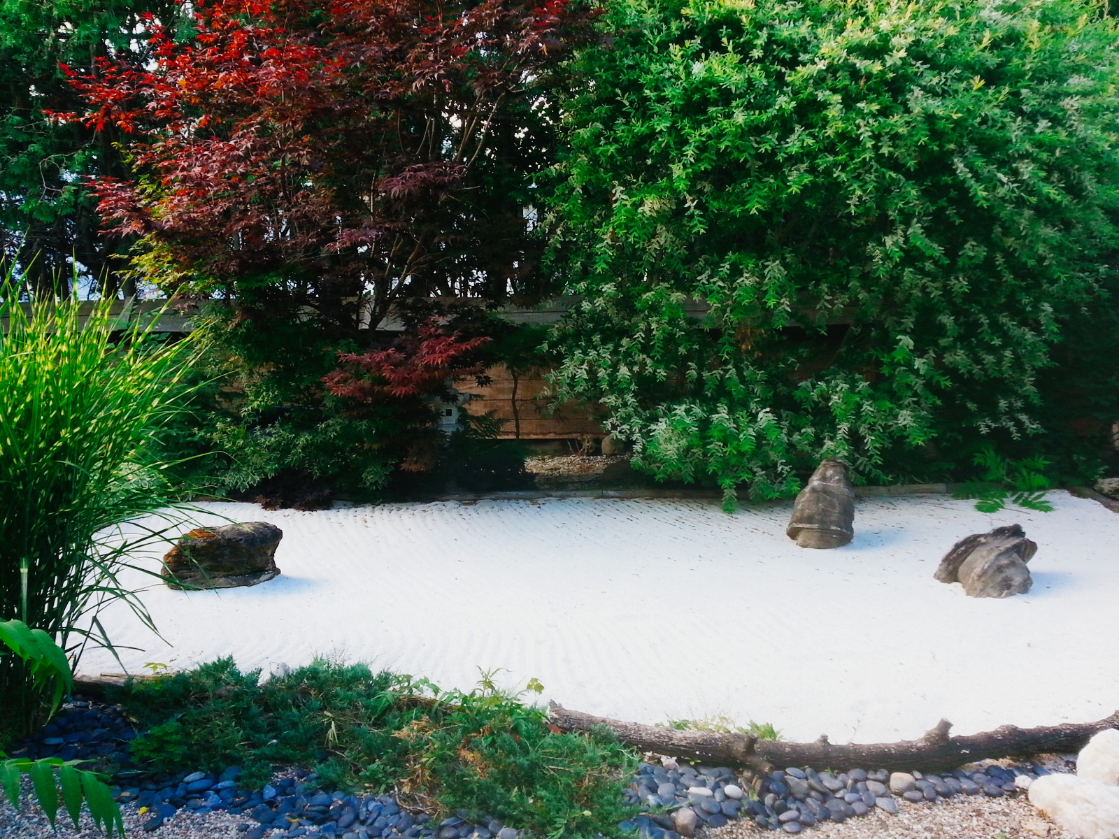 Camellia Tranquility Garden